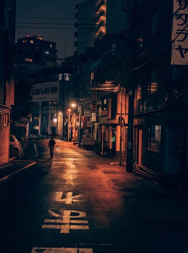 tokyo, street, alone-5772124.jpg